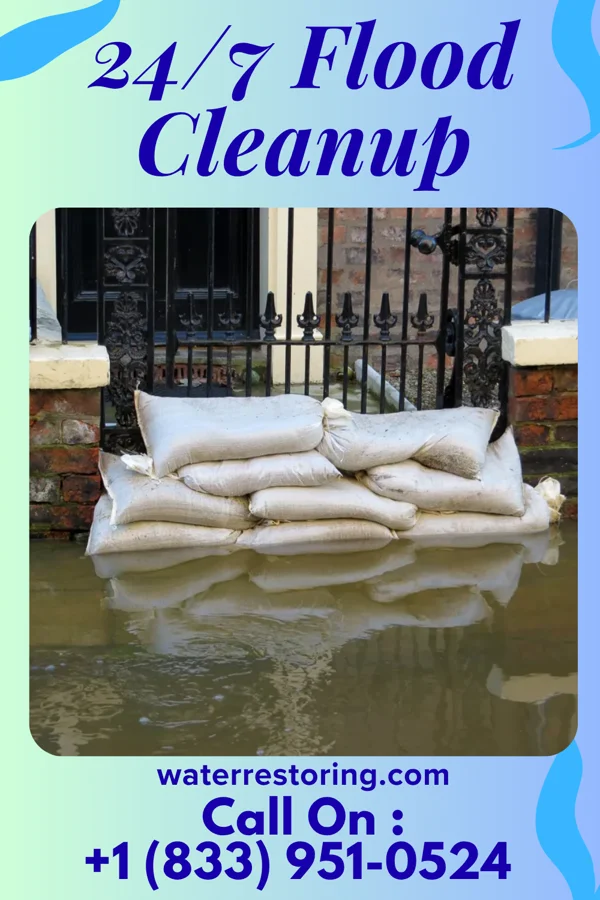 24/7 Flood Cleanup in St. Paul Park, MN