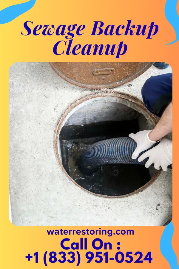 Sewage Backup Cleanup in St. Paul Park, MN